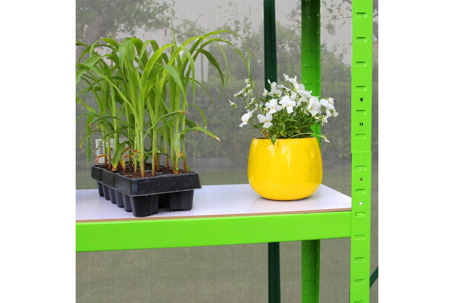 Monstershop 26538 - Greenhouse Polycarbonate 6ft X 10ft With-6