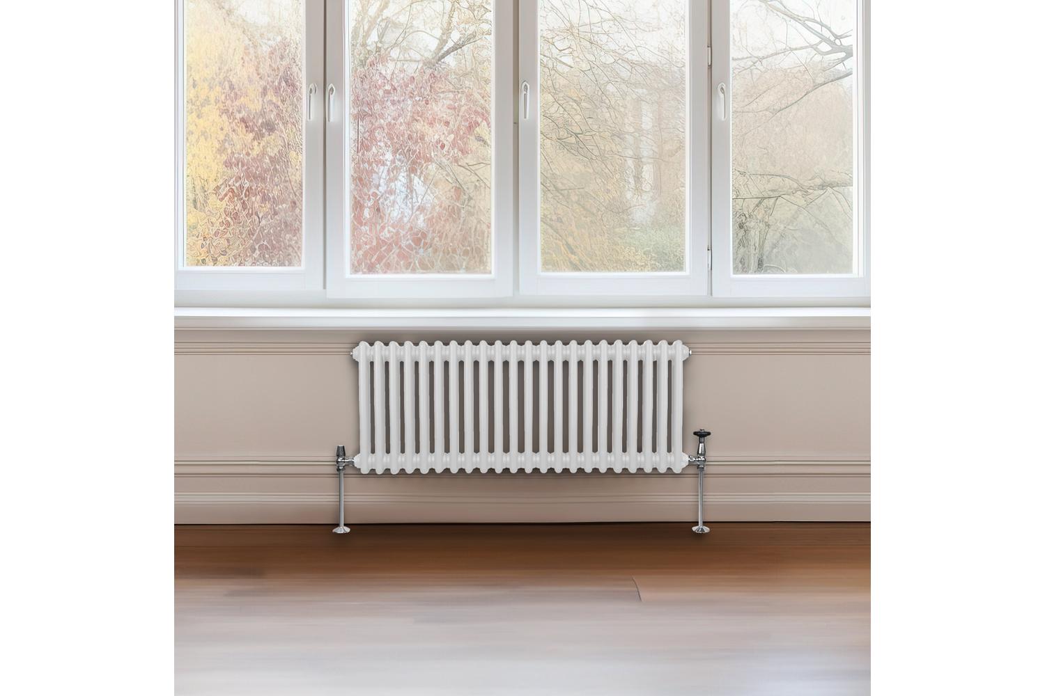 Monstershop 213050 - Traditional 2 Column Radiator - 300 X 1-5