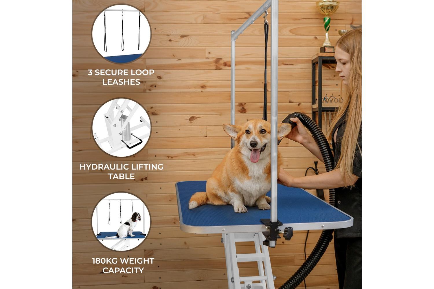 Monstershop 212303 - White Hydraulic Grooming Table - Blue T-2