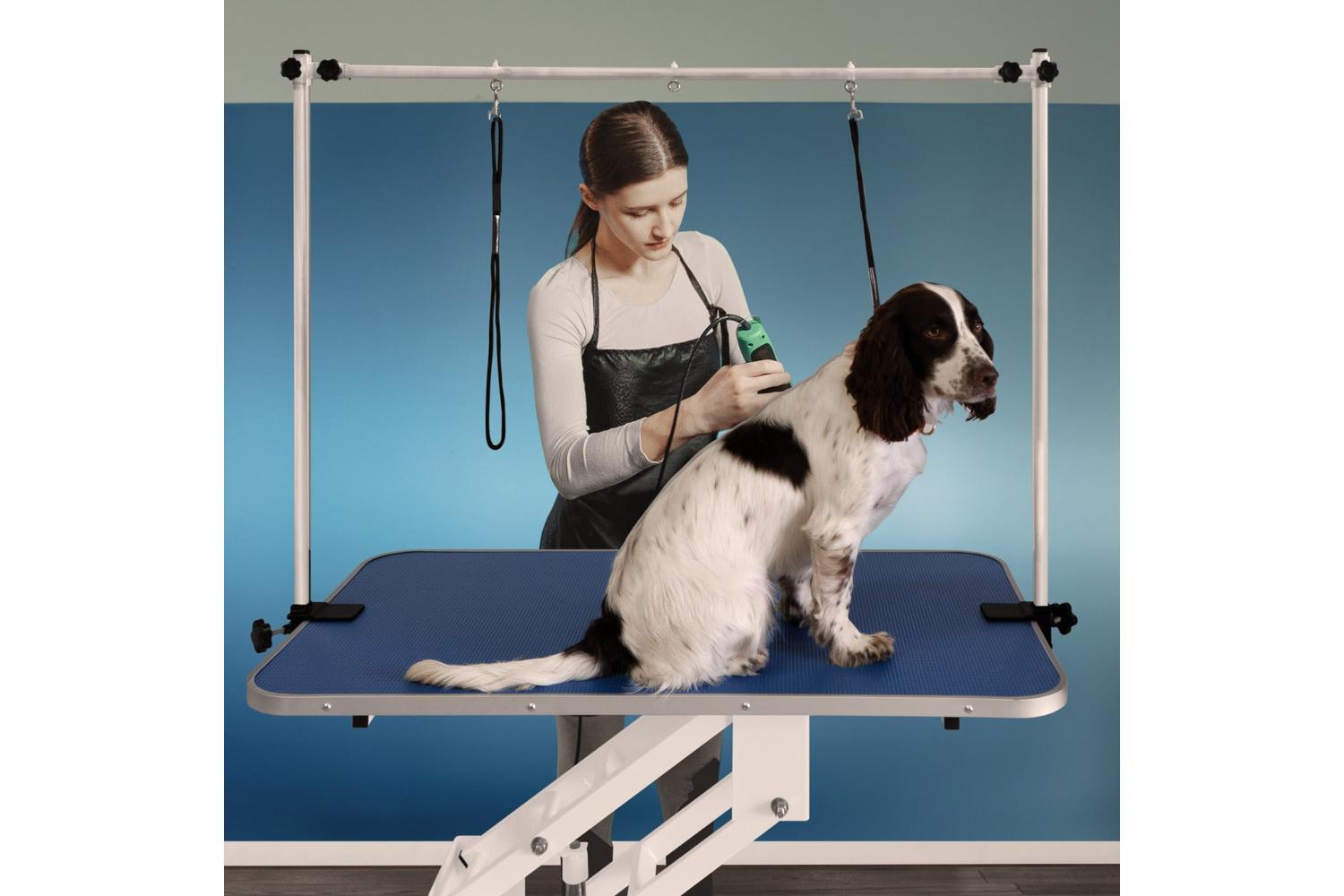 Monstershop 212303 - White Hydraulic Grooming Table - Blue T-6