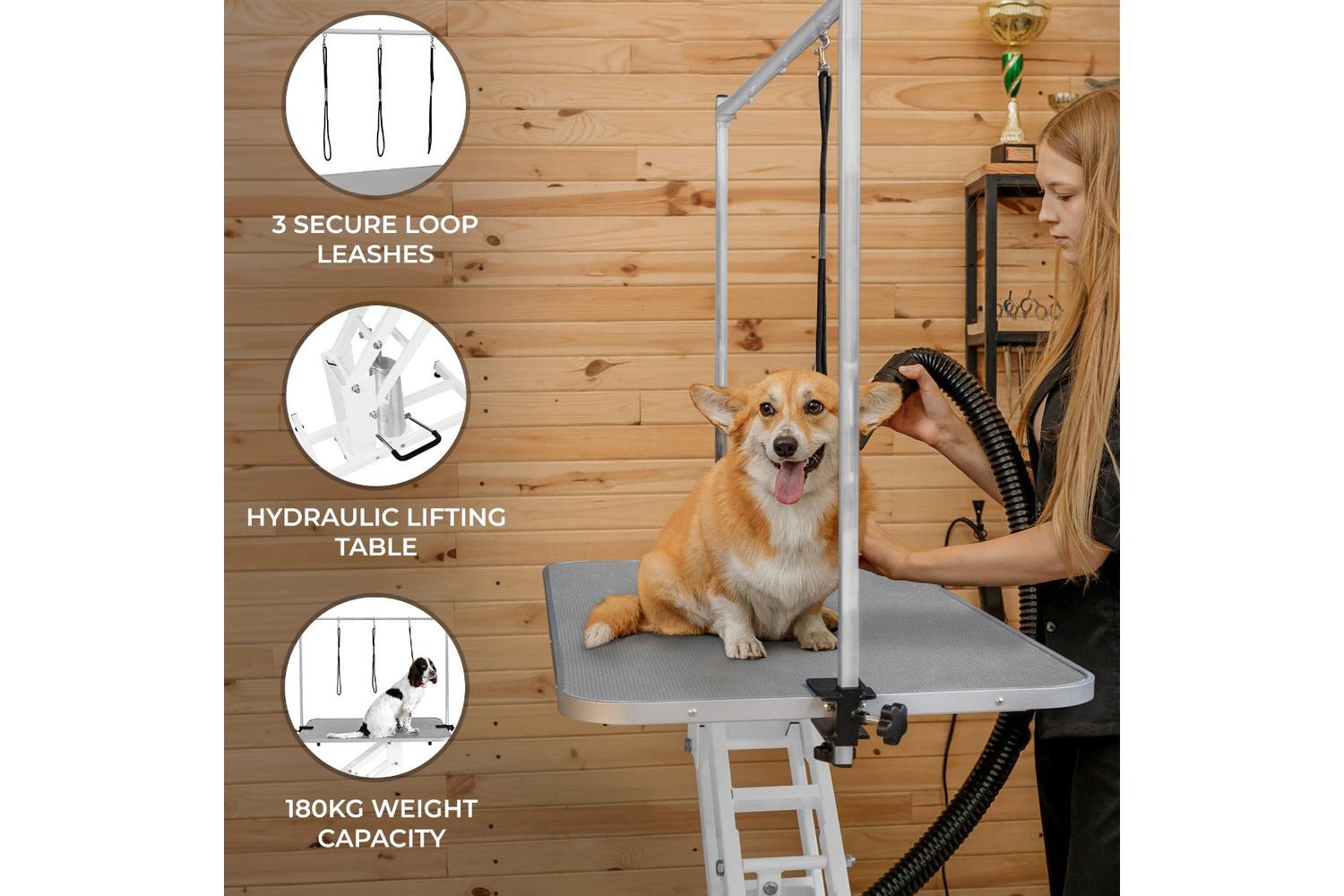 Monstershop 212305 - White Hydraulic Grooming Table - Grey T-2