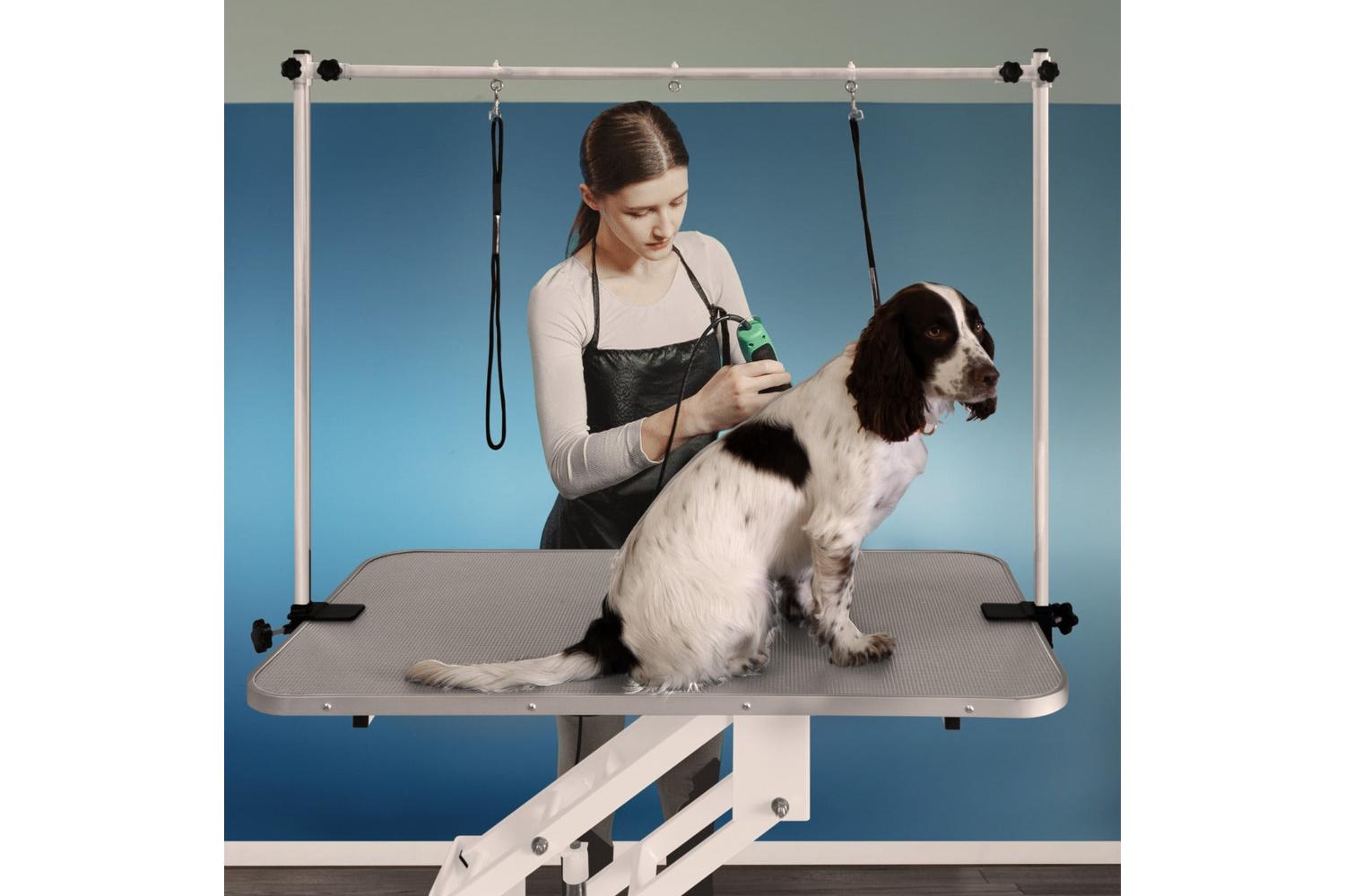 Monstershop 212305 - White Hydraulic Grooming Table - Grey T-6