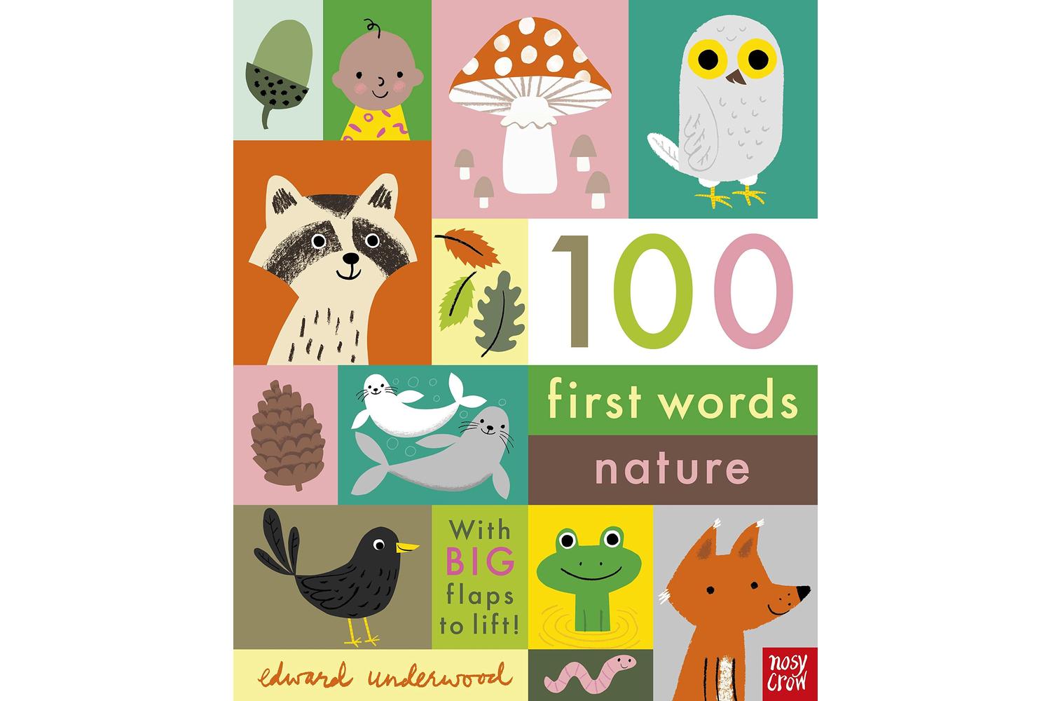 100 First Words: Nature Â– Fun And Educational Board Book By Nosy Crow