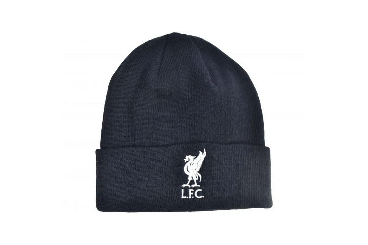 Knitted Embroidered Crest Beanie Hat-2