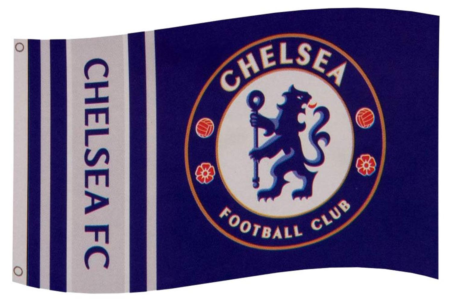 Large Flag With Metal Eyelets-2