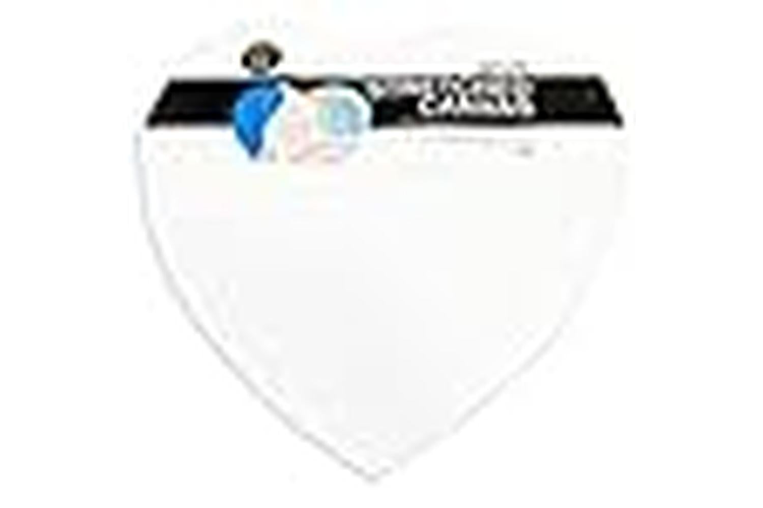 Artiste Doa 101208 - Heart Canvas 40cm - 380gsm-3