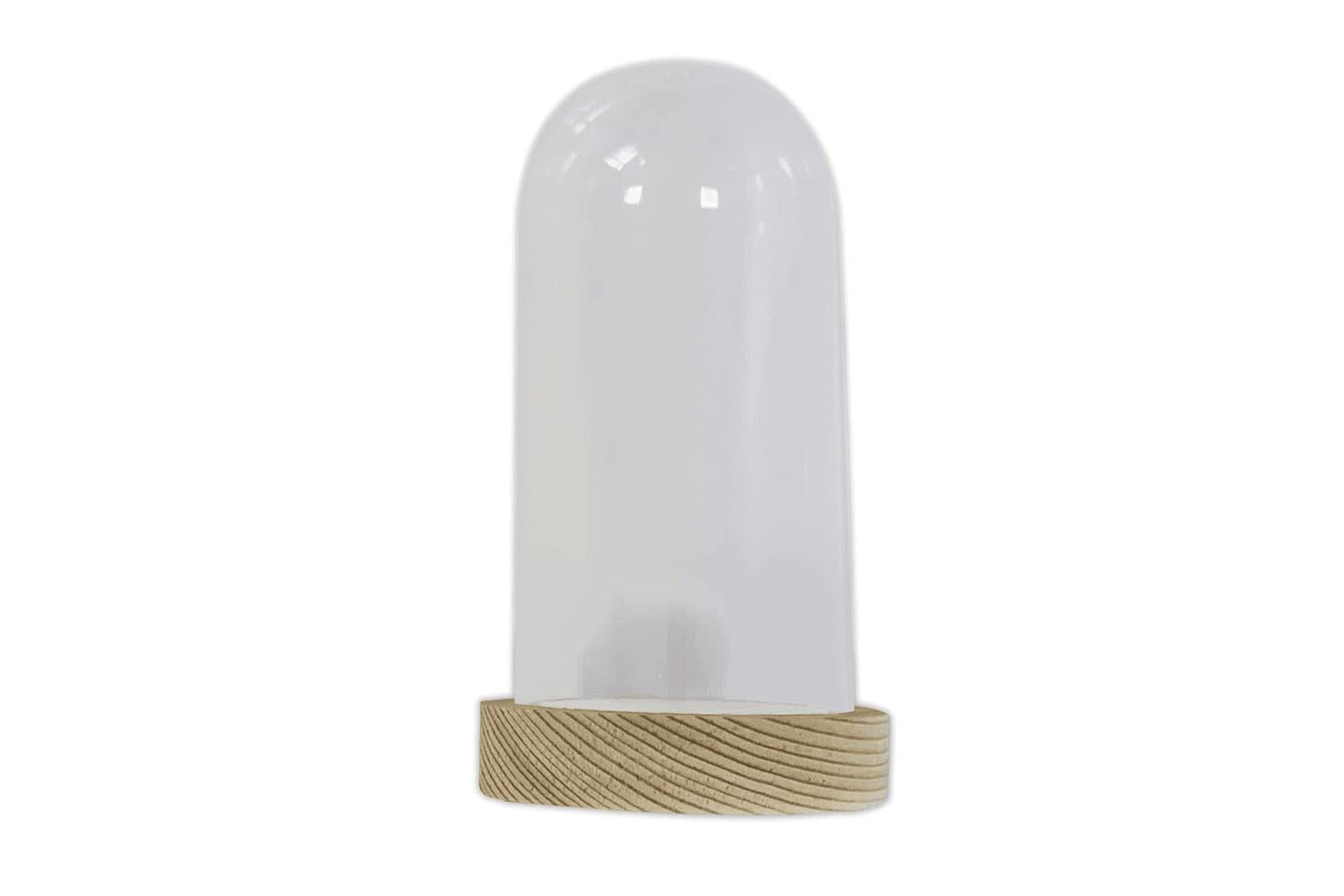 Docrafts Pma 110907 - Plastic Cloche  6 X 12cm