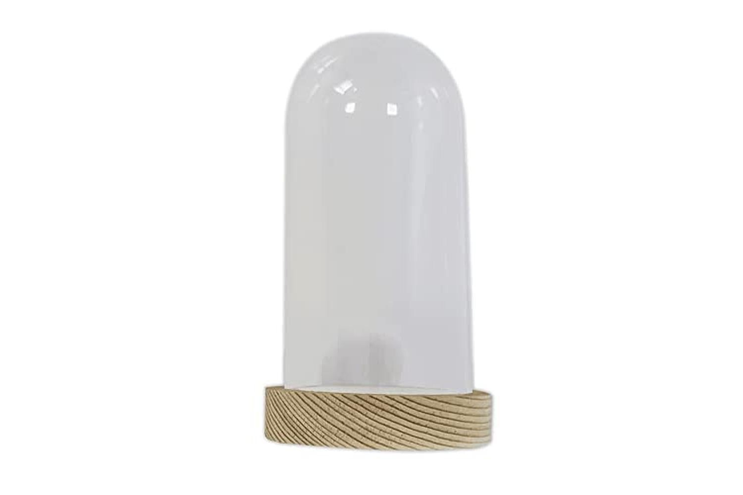 Docrafts Pma 110907 - Plastic Cloche  6 X 12cm-2