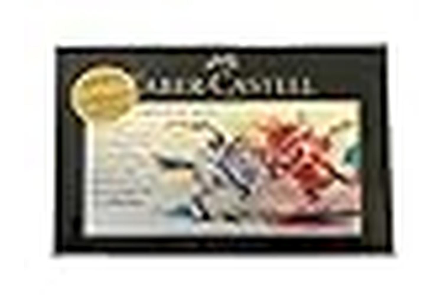 Faber-castell Fc210024 - Tin Of 24 Ann Swan Polychromos-3