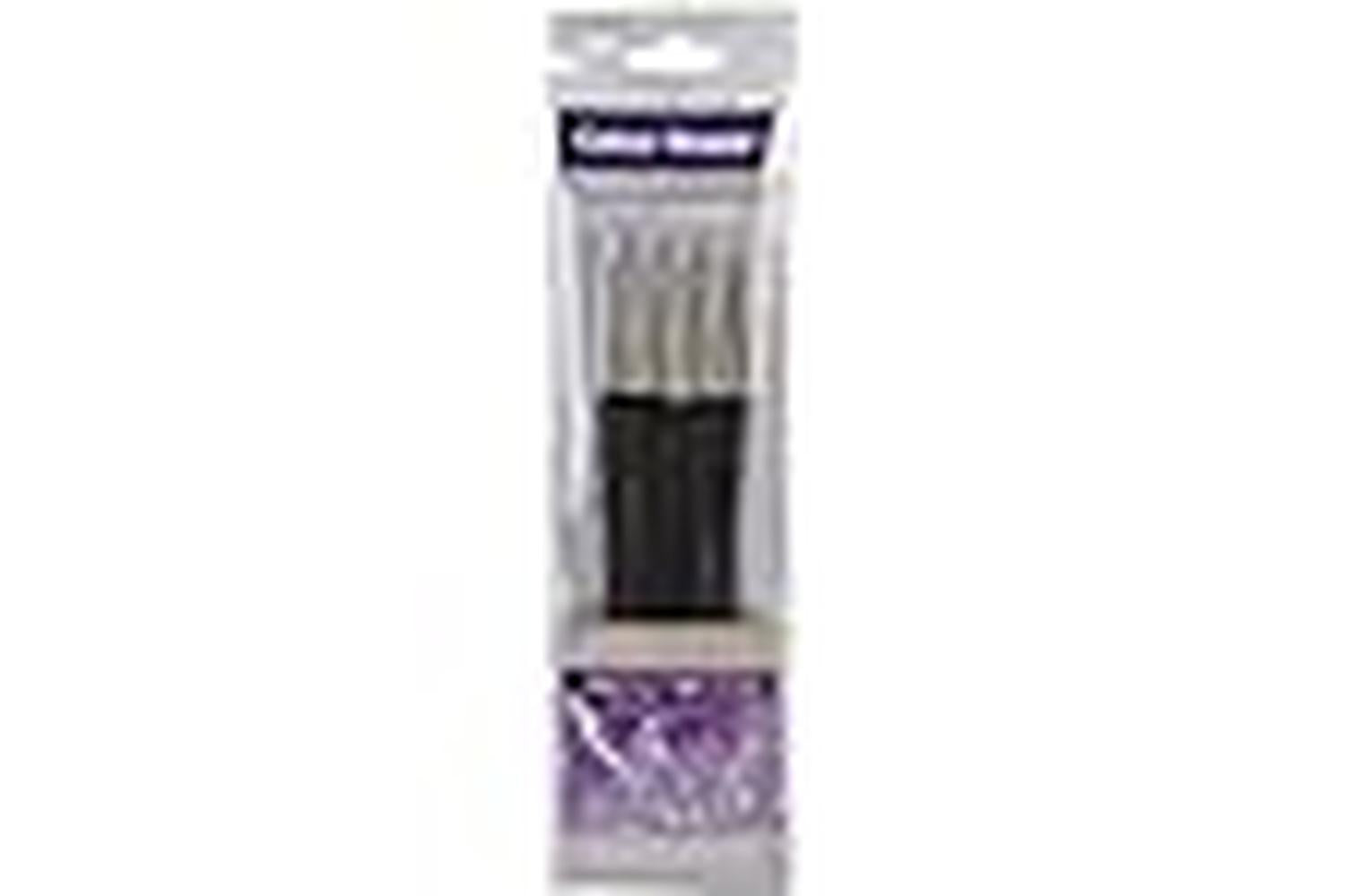Panpastel Csh12900 - Firm Painting Set Size 6 5 Piece Set-3