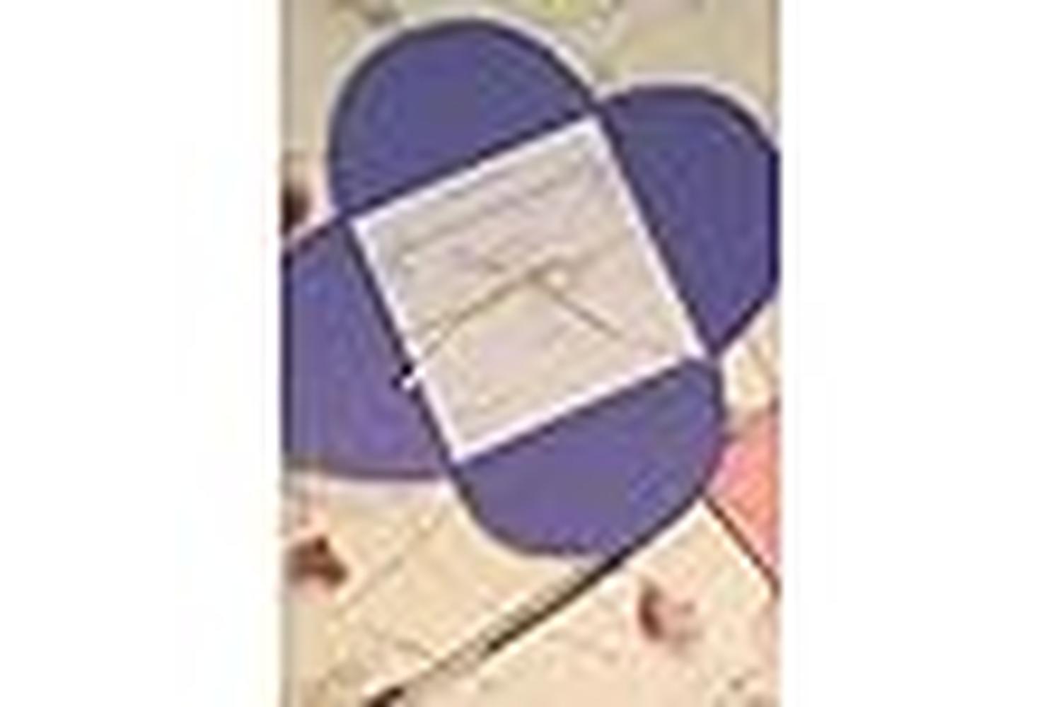 Paperstate In0606 - Invitation Cloverleaf Card Chocolate 10$-3