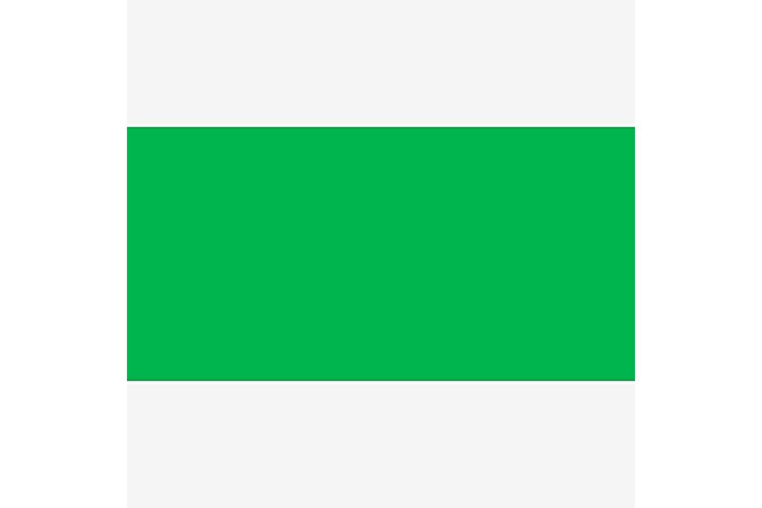 Permaset Sr000705 - Aqua Standard 1 Litre Mid Green-2