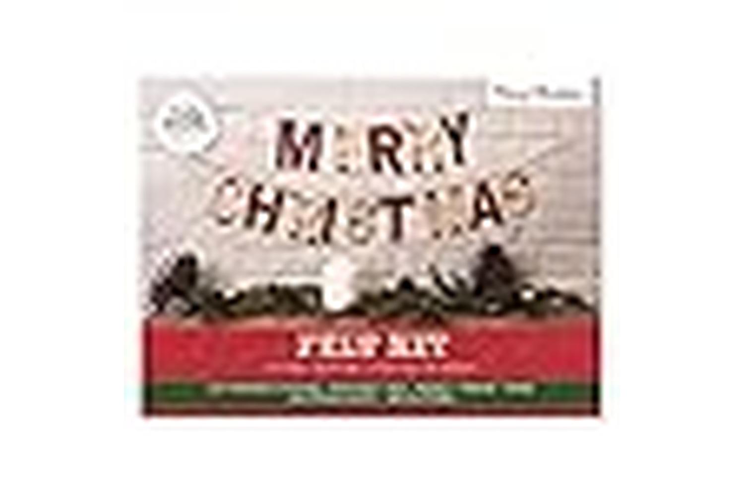 Simply Make Dsm 106126 - Merry Christmas Light Up Garland Ki-3