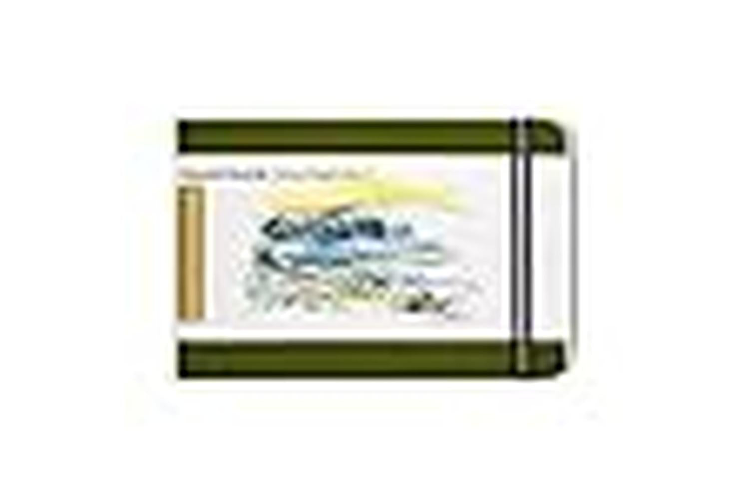 Speedball Sb721223 - 3.5 X 5.5 Landscape, Cadmium Green-3