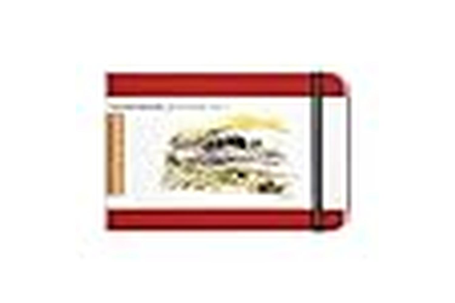 Speedball Sb721224 - 3.5 X 5.5 Landscape, Vermilion Red-3