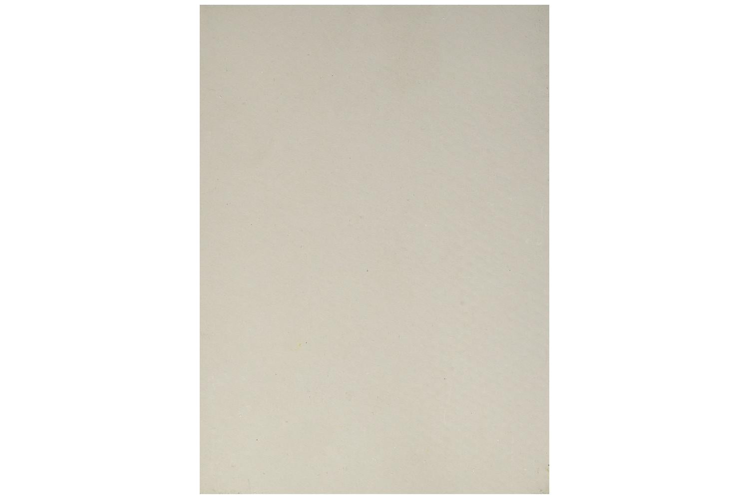 Speedball Sb004358 - 5
