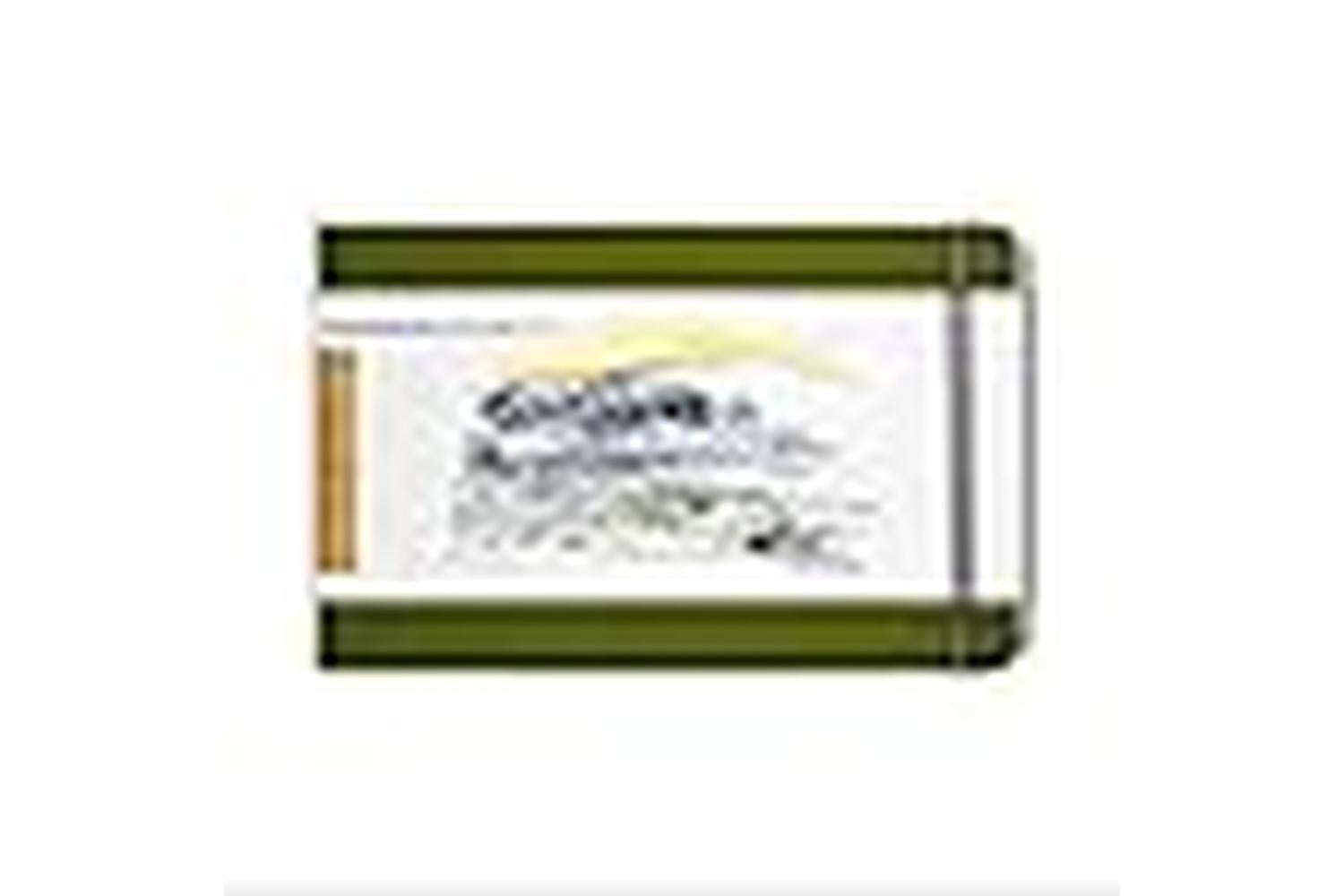 Speedball Sb721423 - 5.5 X 8.25 Landscape, Cadmium Green-3