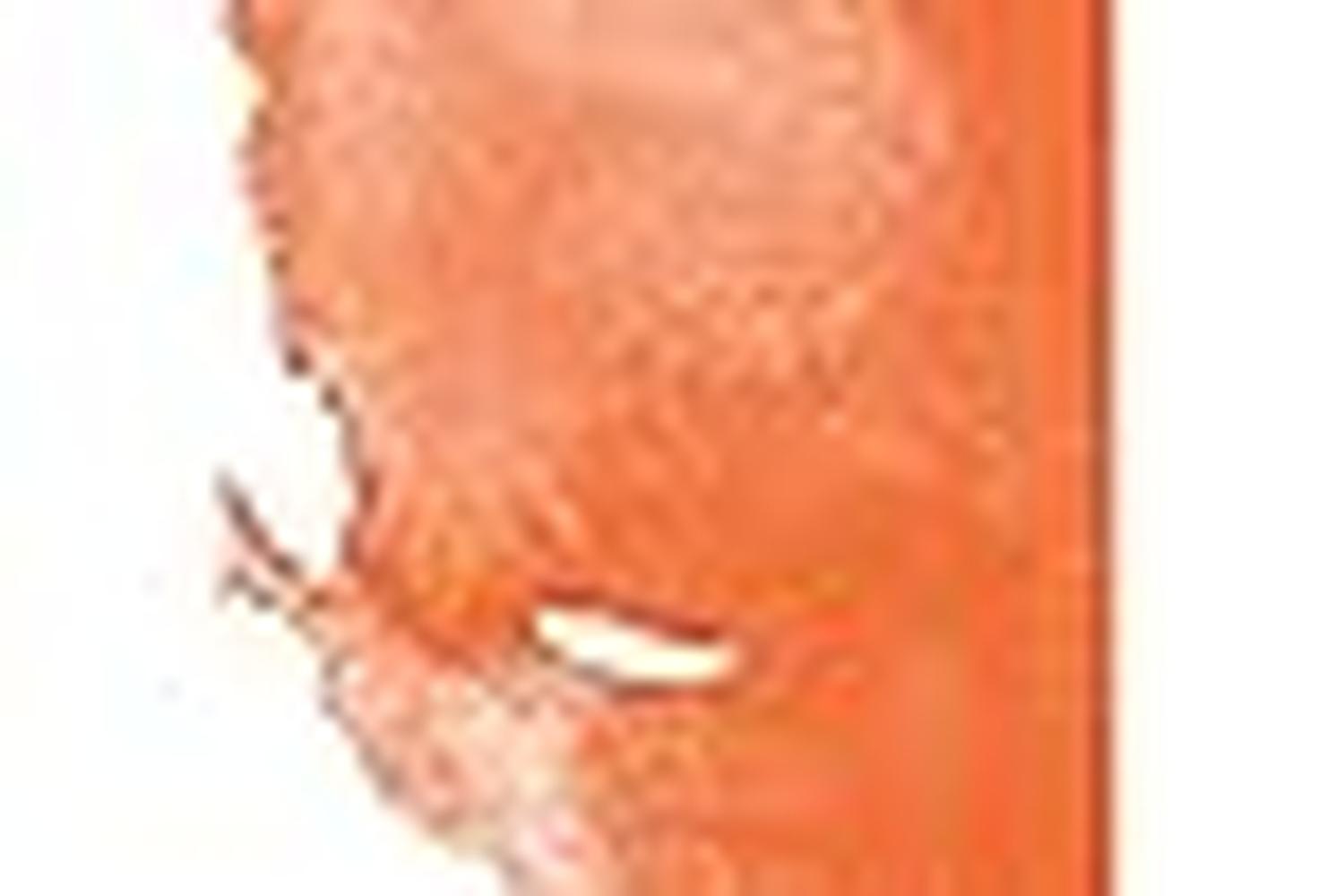 Speedball Sb003807 - 8 Oz. Water-soluble Block Ink Orange-3