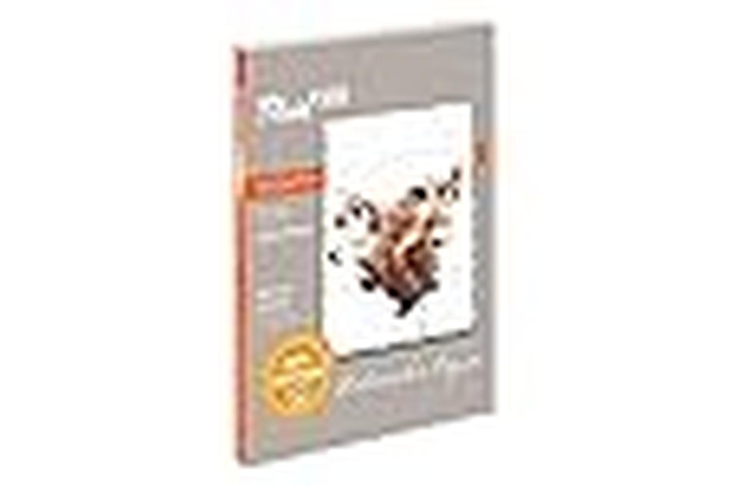 Speedball Sb811226 - Fluid 100 Cp Wc Block 12 X 16-3