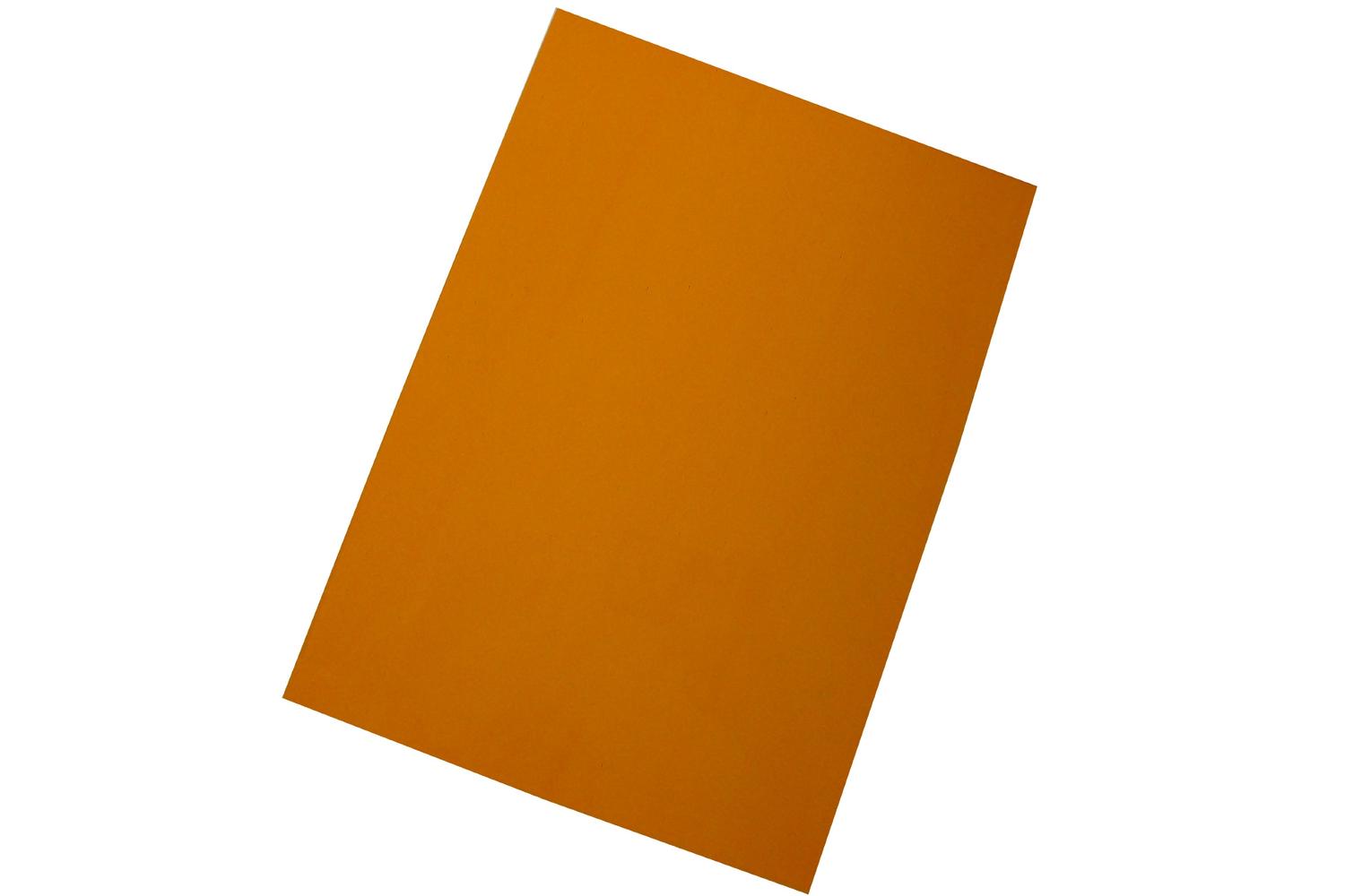 West Film Flm660555 - A4 Tinted Film Document Covers 100 She