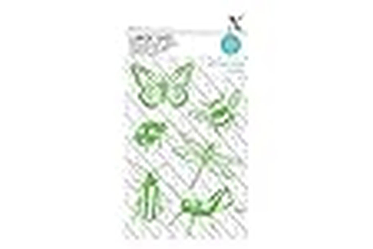 Xcut Xcu 503480 - Large Dies - Insects-3