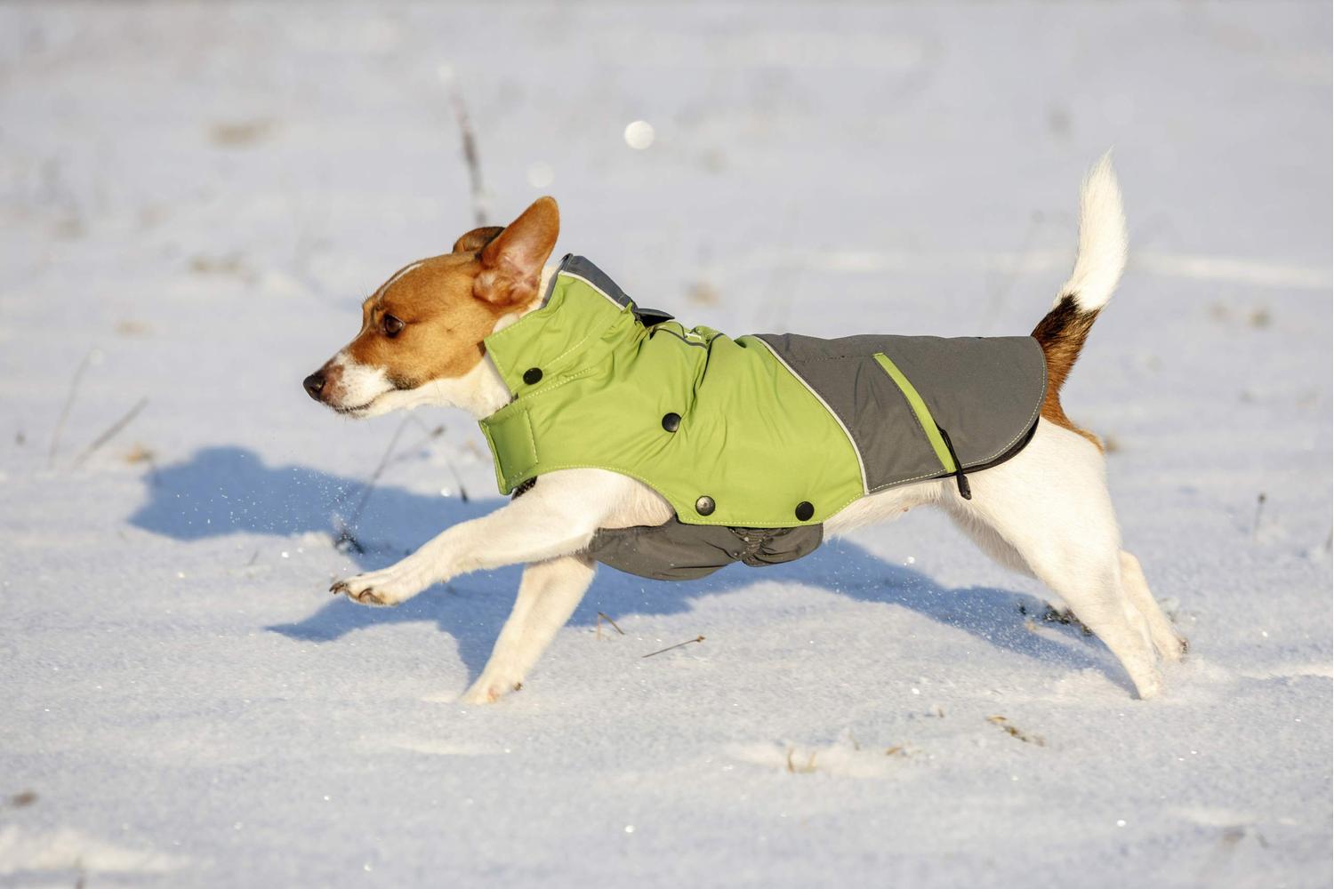 Kerbl Pet Ker-81408 - Outdoor Dog Coat Vancouver Green/grey,-3