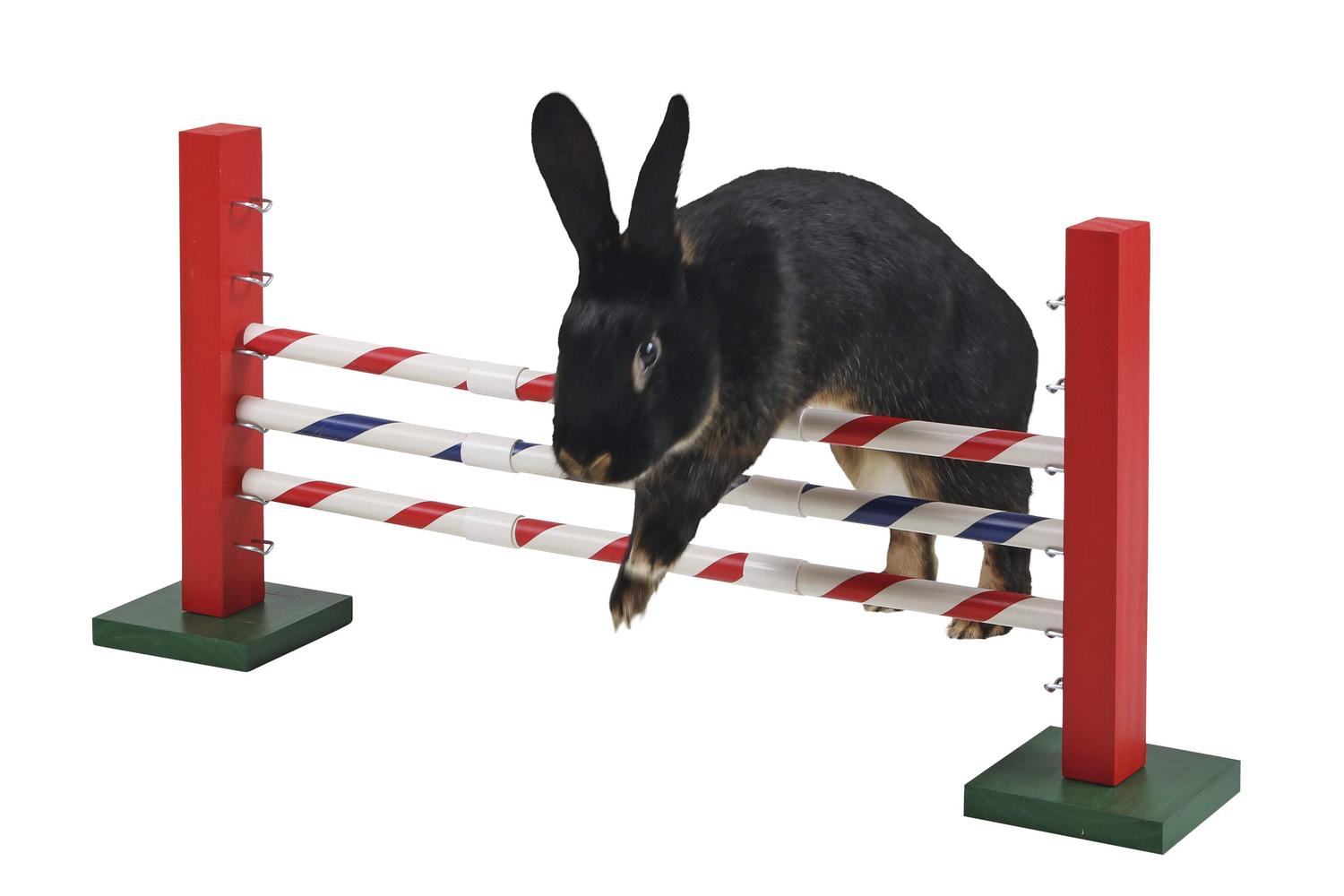 Kerbl Pet Ker-82859 - Agility Upright Jump 70 X 5 X 35 Cm-2