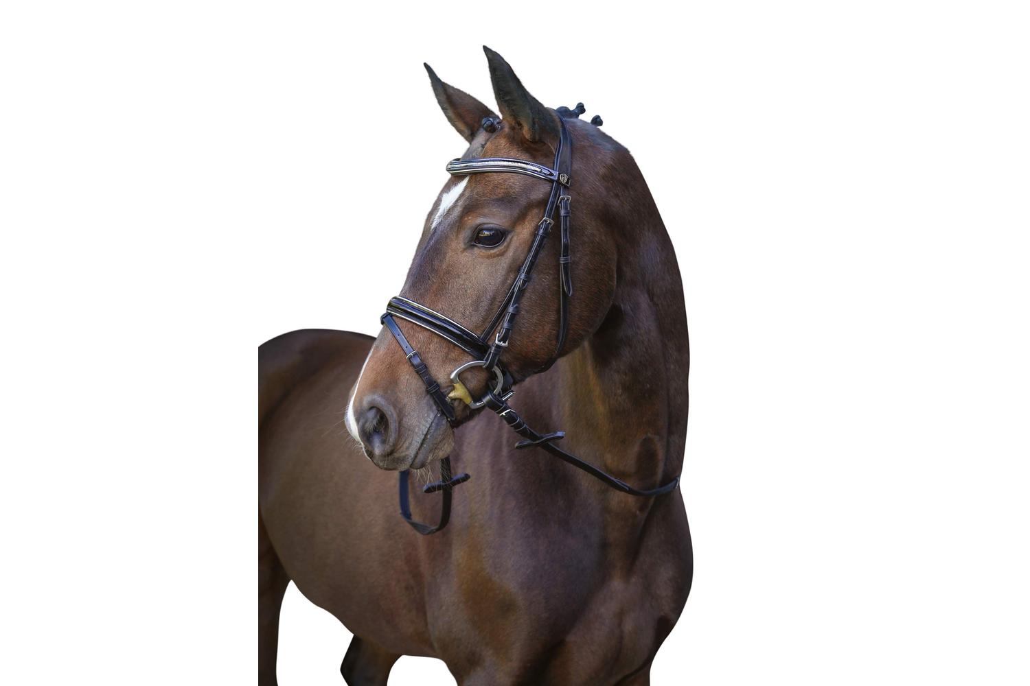 Kerbl Ker-3210487 - Snaffle Bridle Kingston, Black Pony, Eng-2