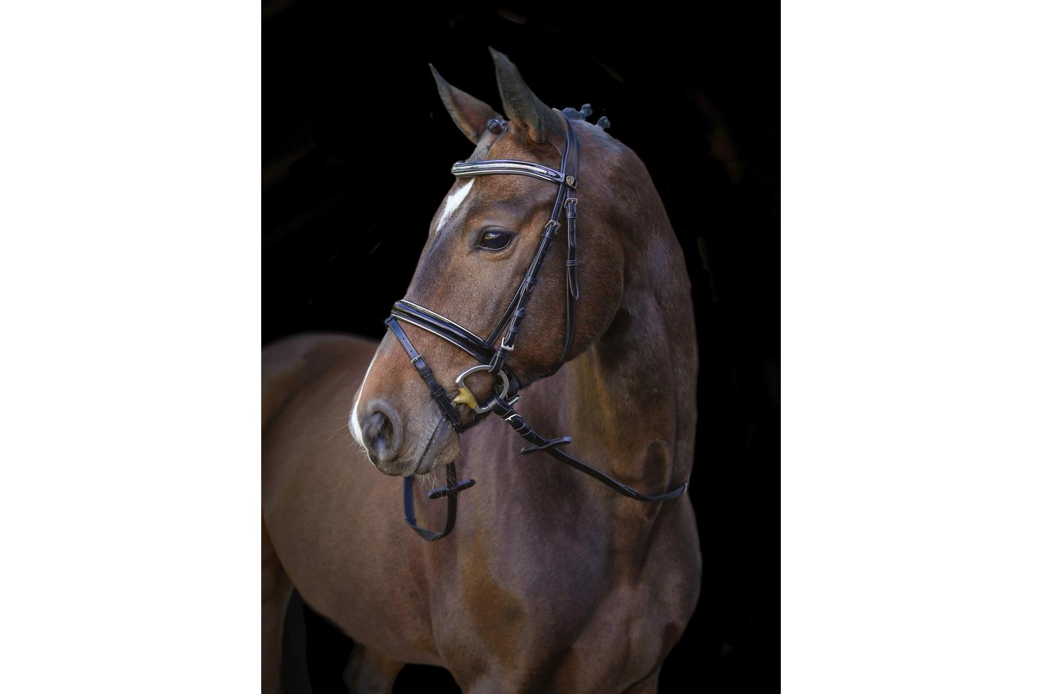 Kerbl Ker-3210487 - Snaffle Bridle Kingston, Black Pony, Eng-3
