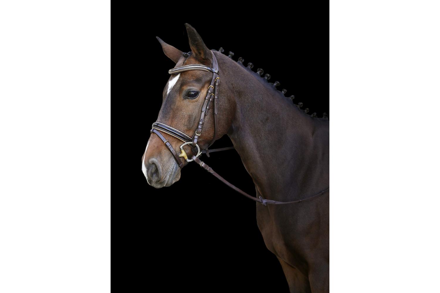 Kerbl Ker-3210490 - Snaffle Bridle Kingston, Brown Pony, Eng-2