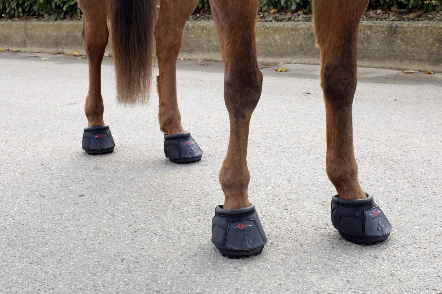 Covalliero Ker-3222173 - Covalliero Hoof Shoe Sz. 5-2