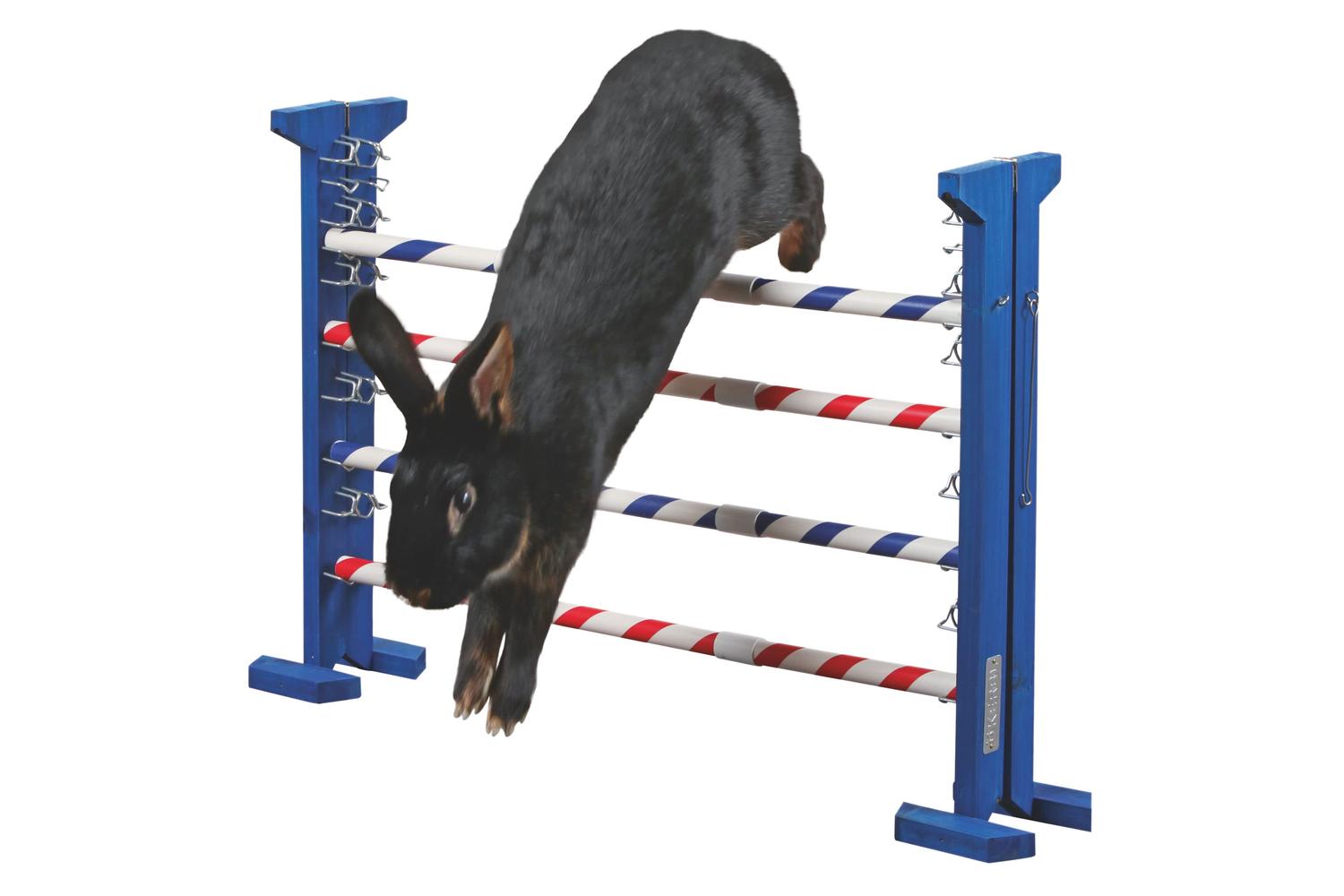 Kerbl Pet Ker-82866 - Agility Combo Jump Height 53 Cm-2