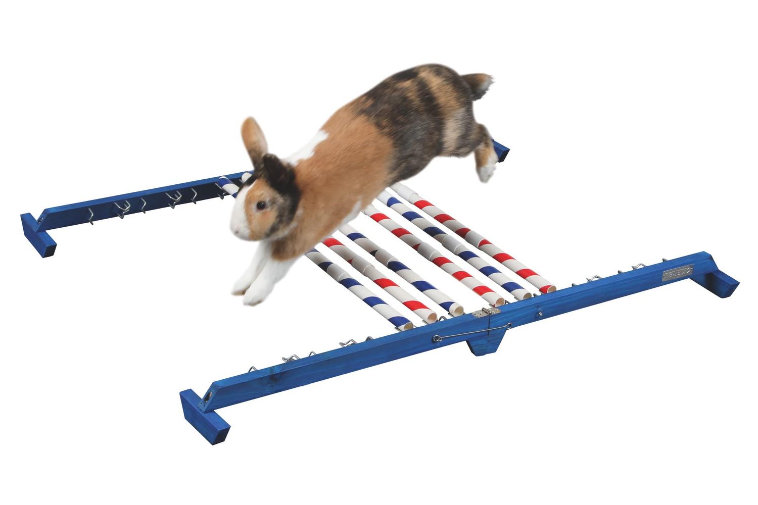 Kerbl Pet Ker-82866 - Agility Combo Jump Height 53 Cm-3