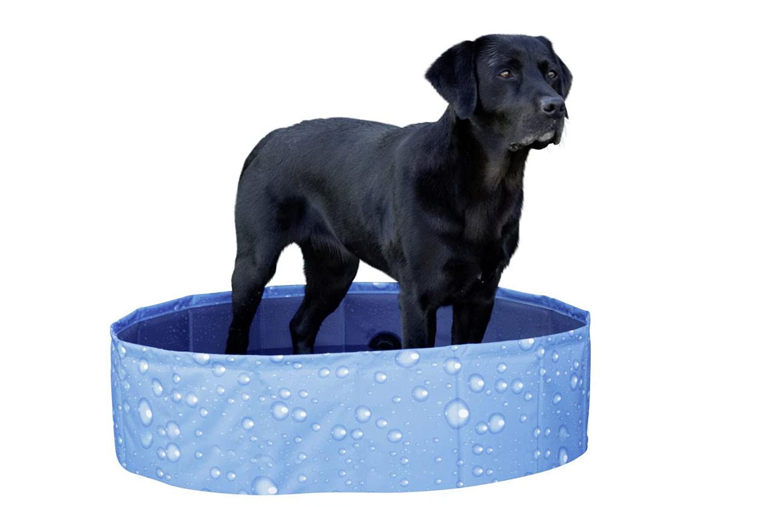 Kerbl Ker-80738 - Dog Pool Bubble 80x80x20cm, Blue-3