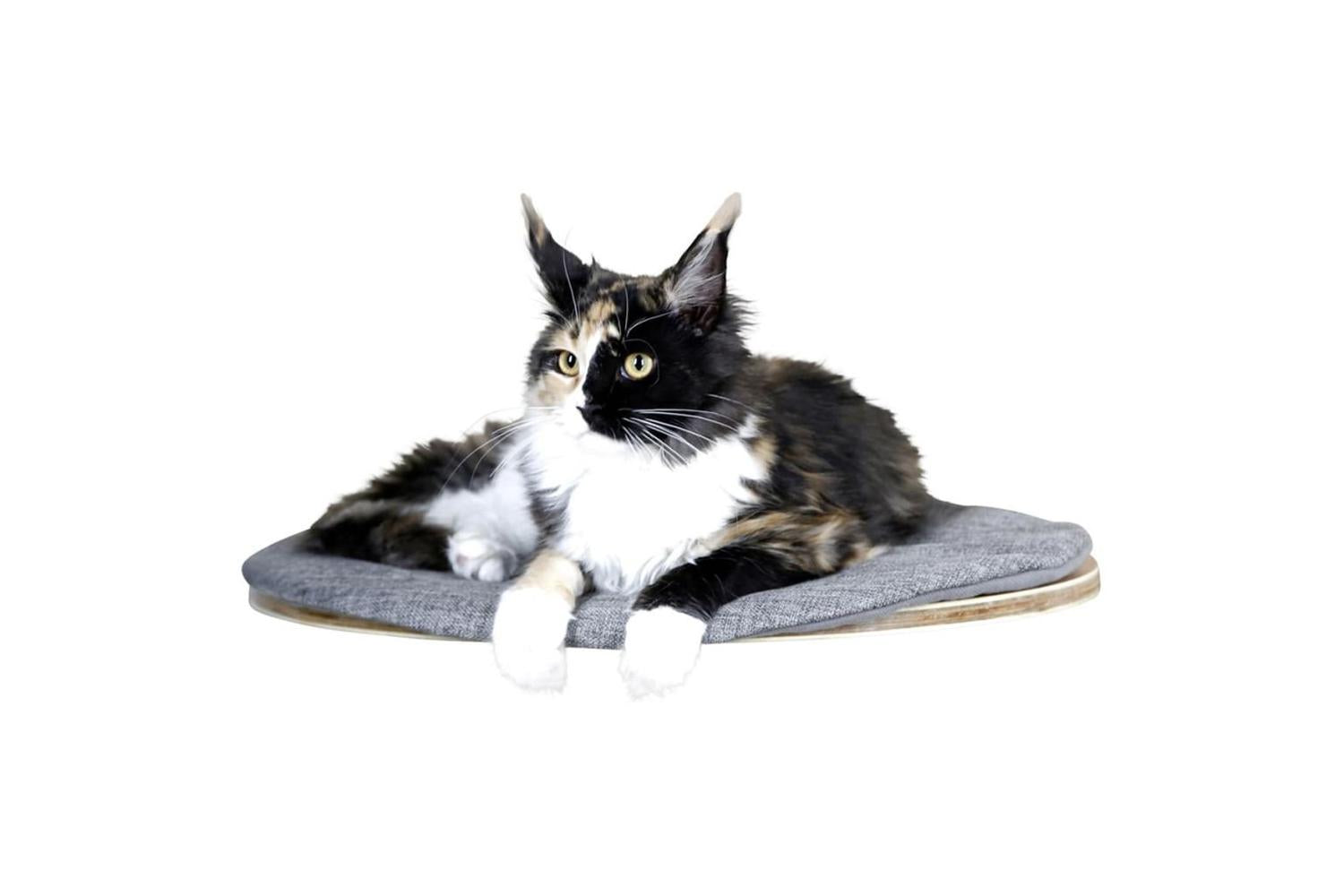 Kerbl Ker-81543 - Wall-mounted Pet Bed Tofana 50x35x1,5cm, G-2