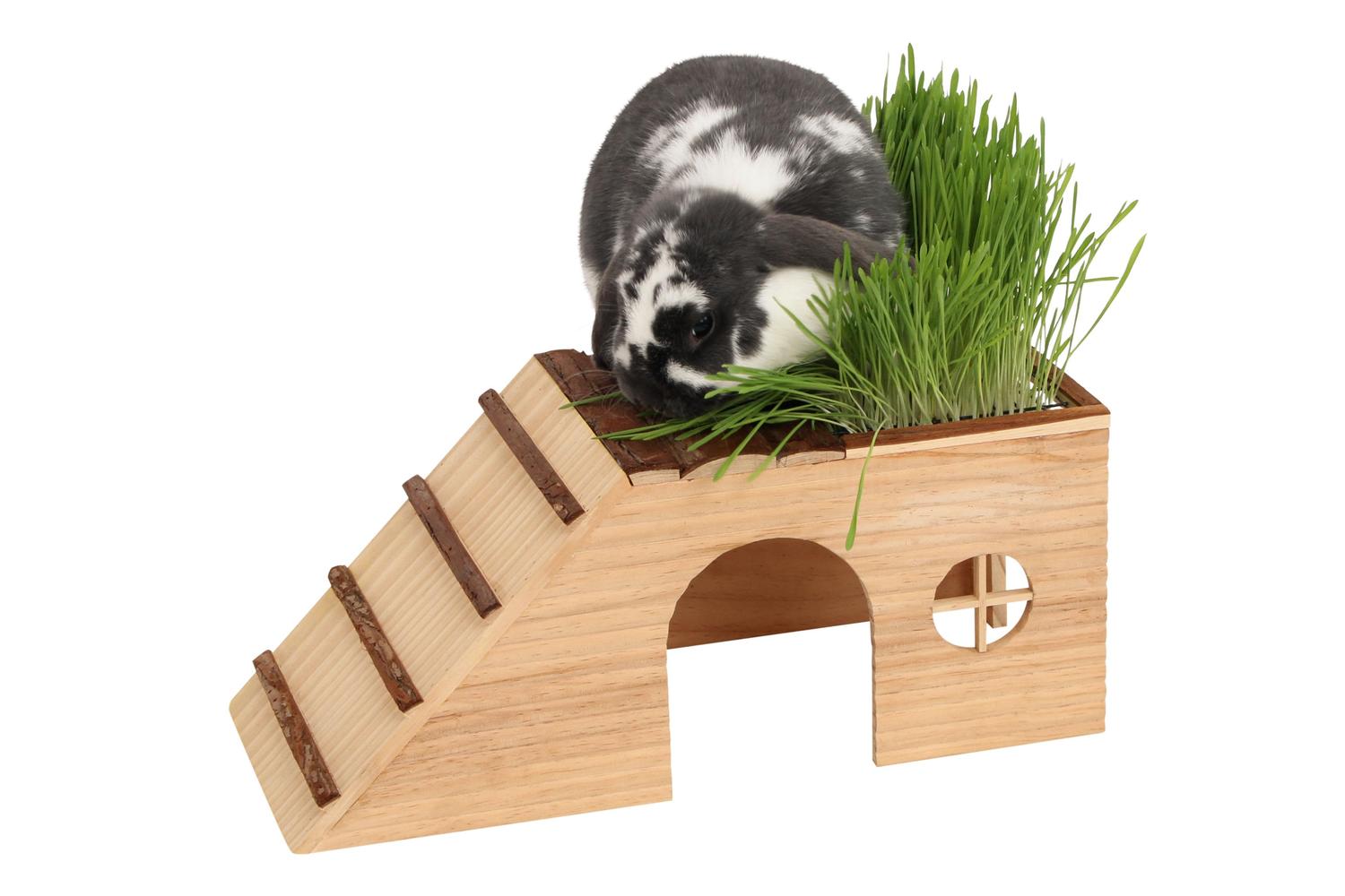 Kerbl Pet Ker-82746 - Rodent Cabin With Ramp Nature 22 X 48-3