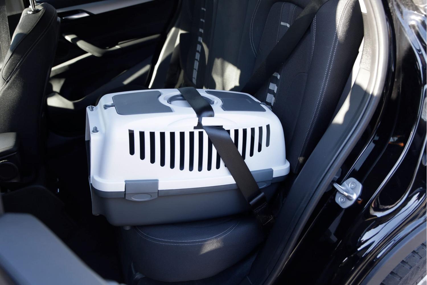 Kerbl Ker-84652 - Transport Box Gulliver 2 55 X 36 X 35 Cm-3