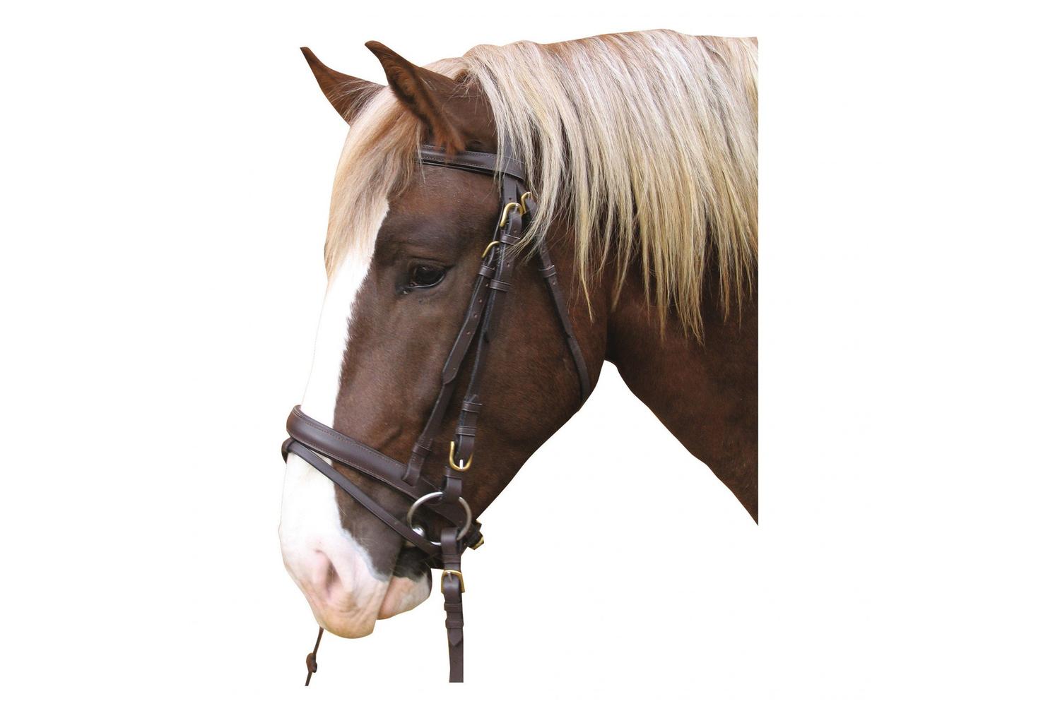 Kerbl Ker-321179 - Bridle Carthorse Brown