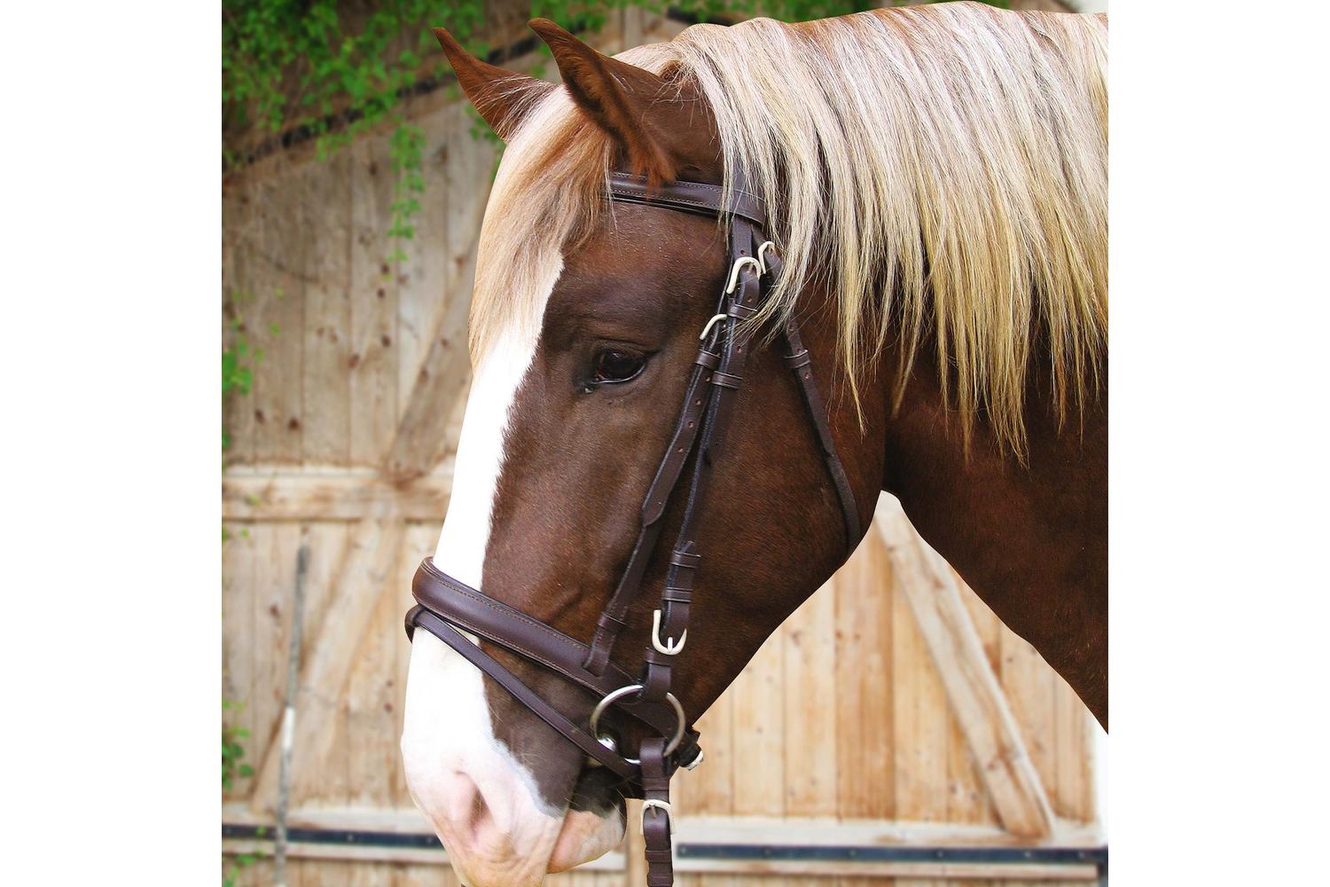 Kerbl Ker-321179 - Bridle Carthorse Brown-2
