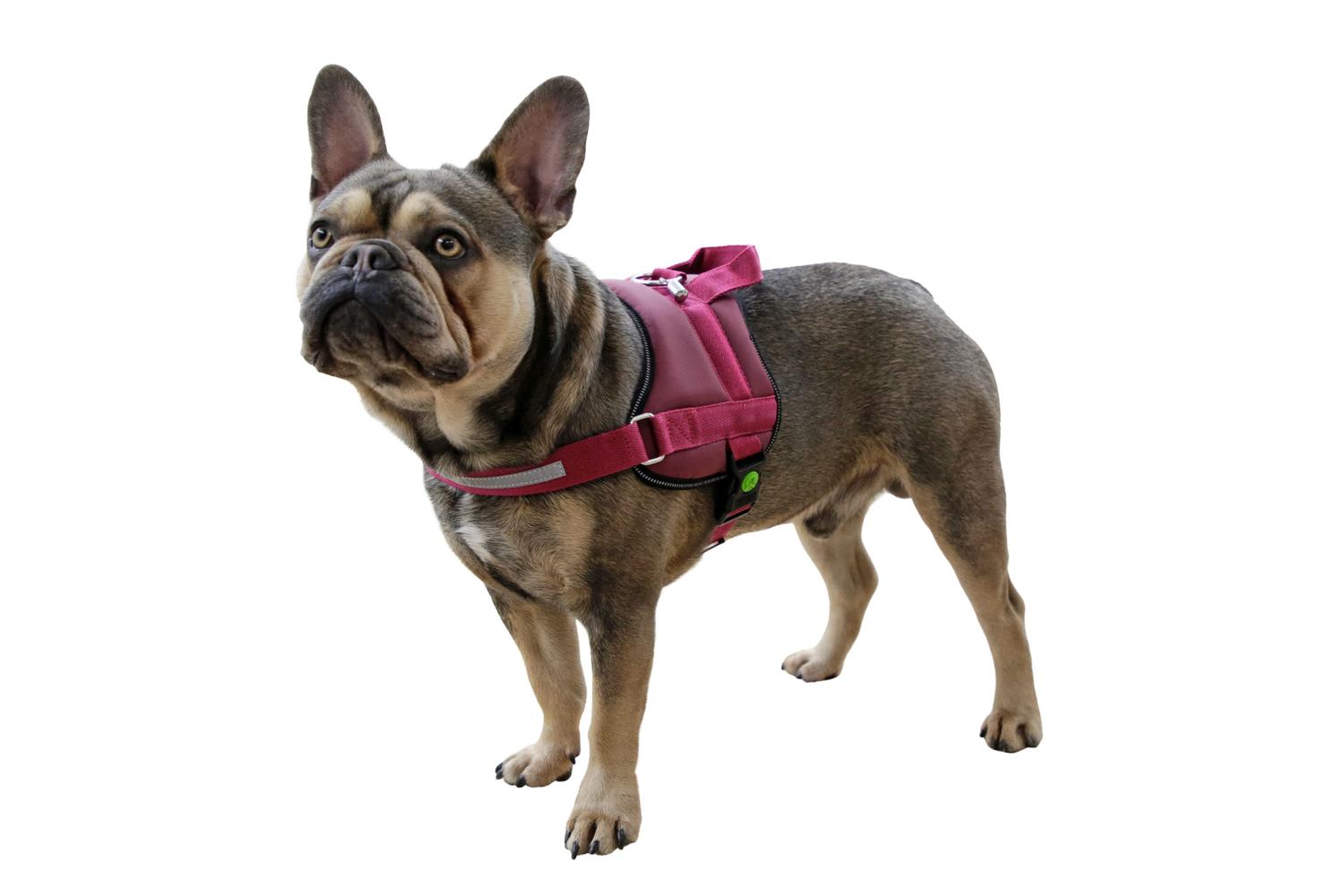 Kerbl Pet Ker-80689 - Harness Maestro 2.0, Burgundy
