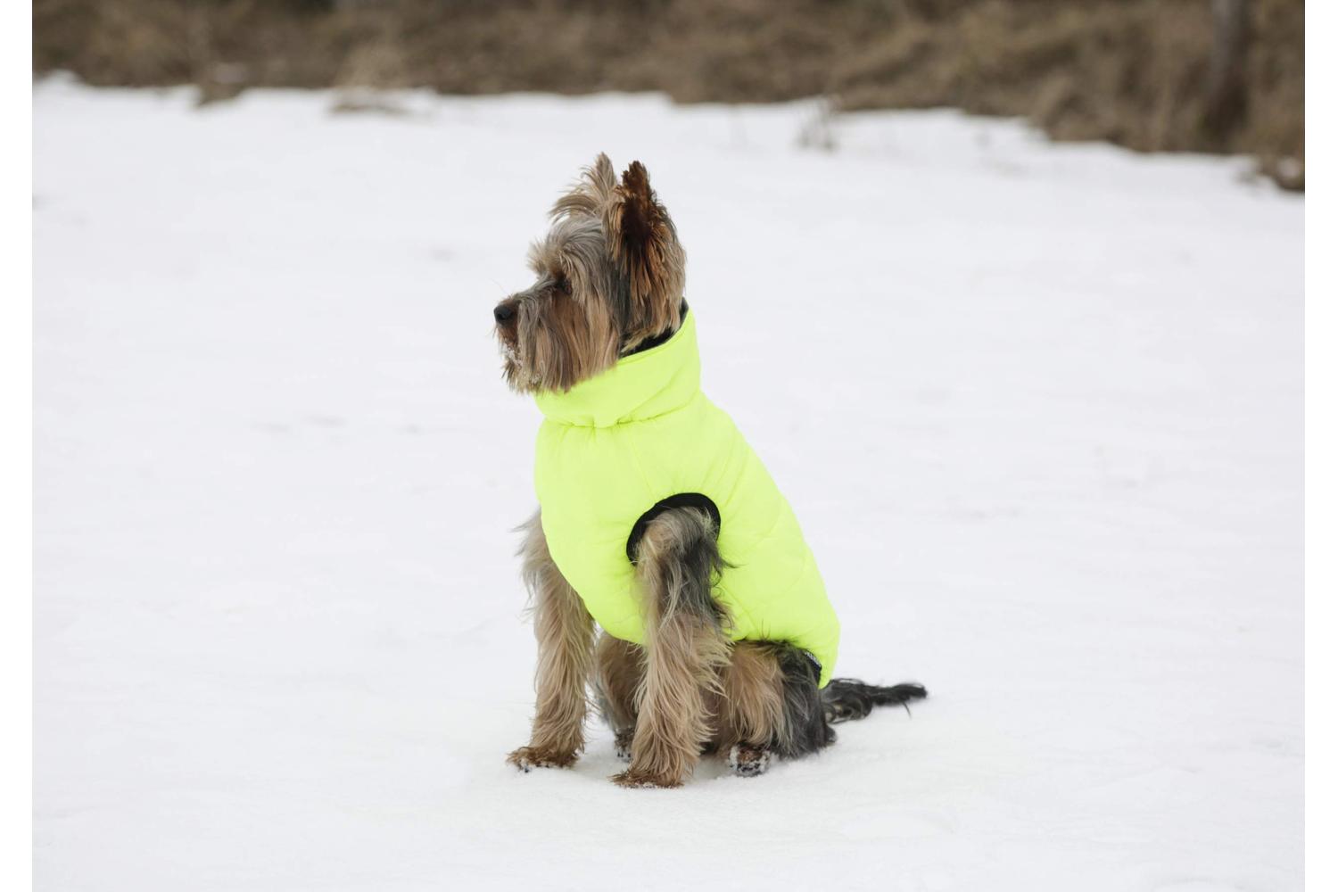 Kerbl Pet Ker-80661 - Quilted Jacket Charmonix, Grey/neon Ye-3