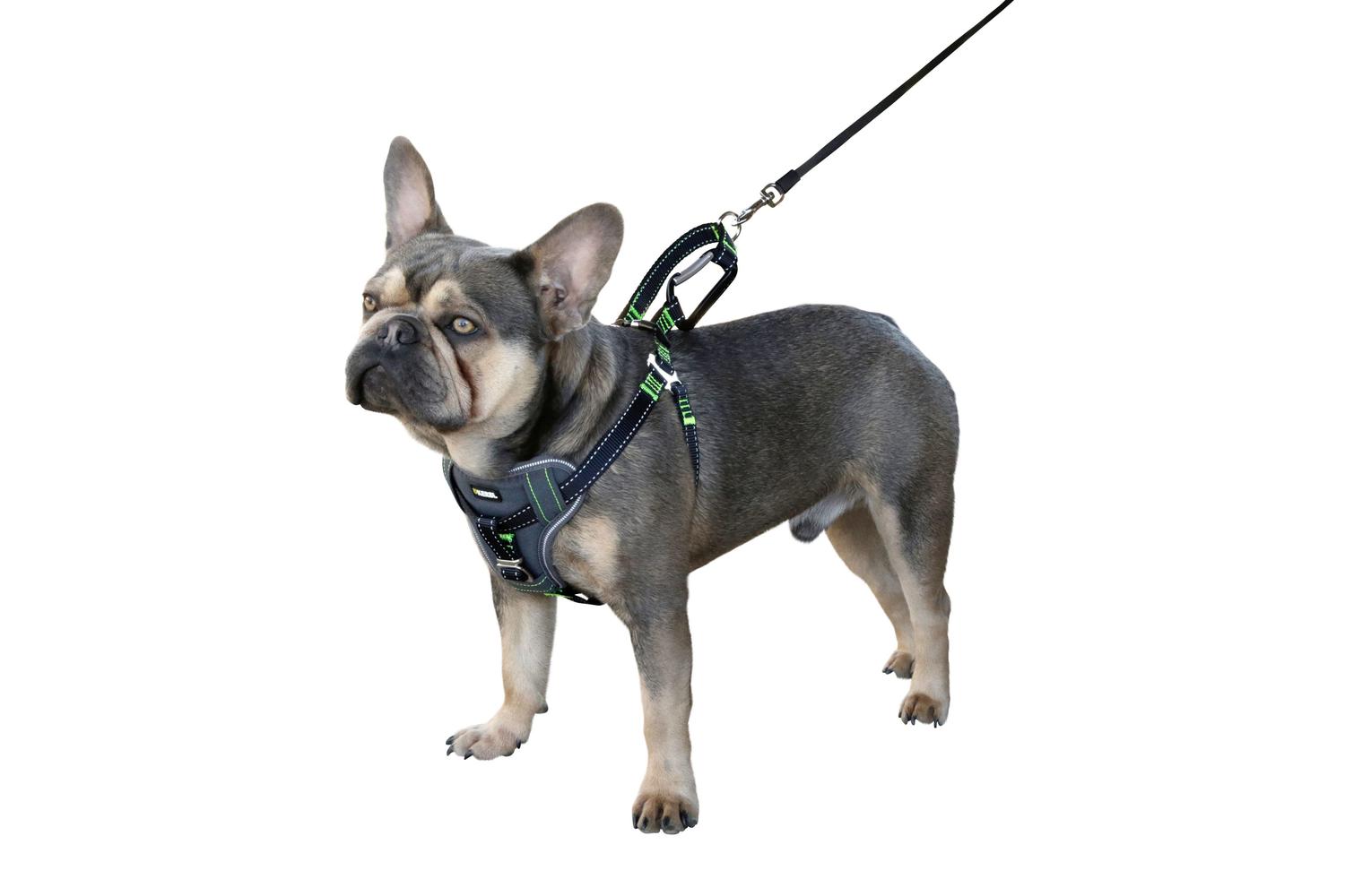 Kerbl Pet Ker-80669 - Car Safty Harness, Black, L 65-85cm/25-2