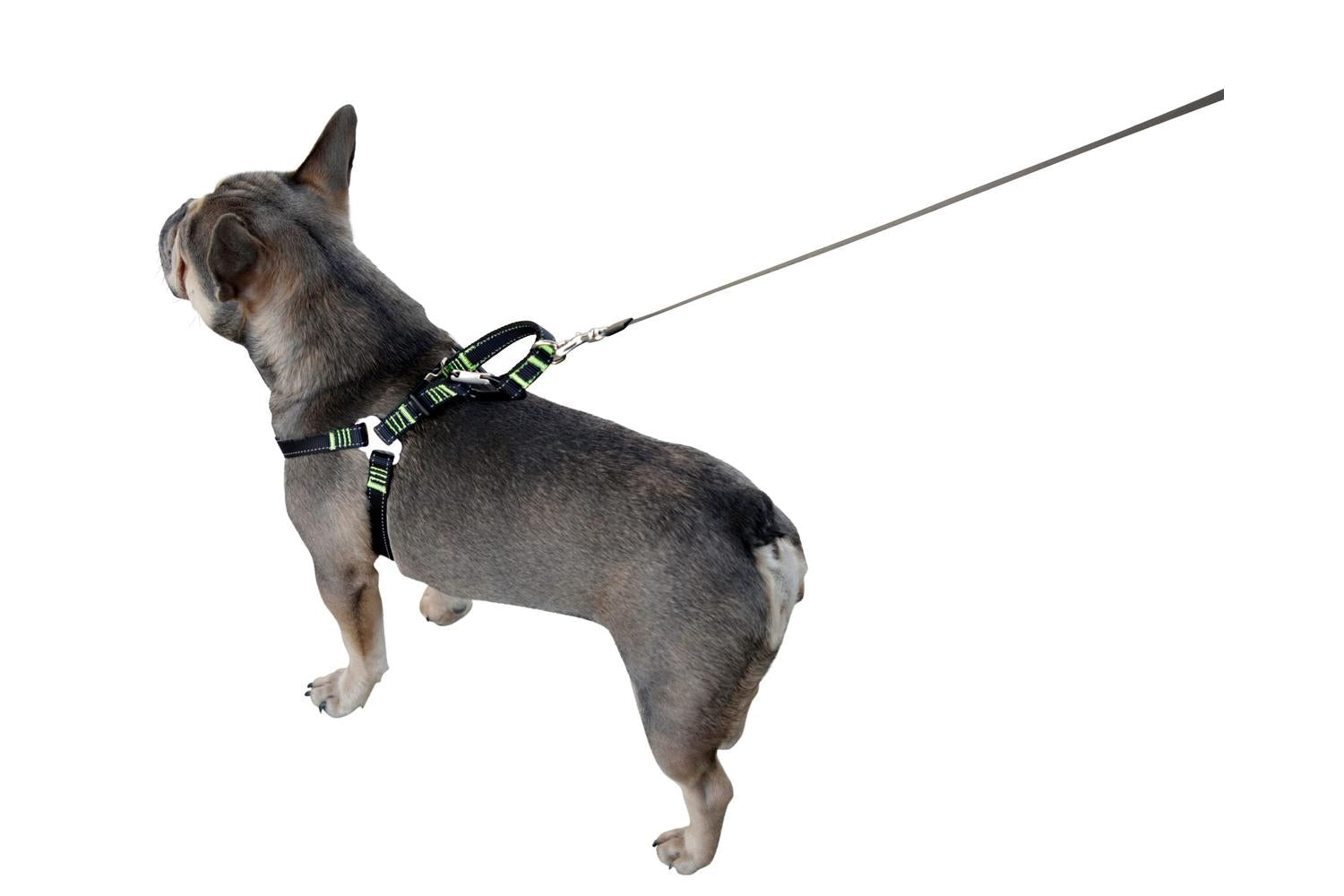 Kerbl Pet Ker-80669 - Car Safty Harness, Black, L 65-85cm/25-3