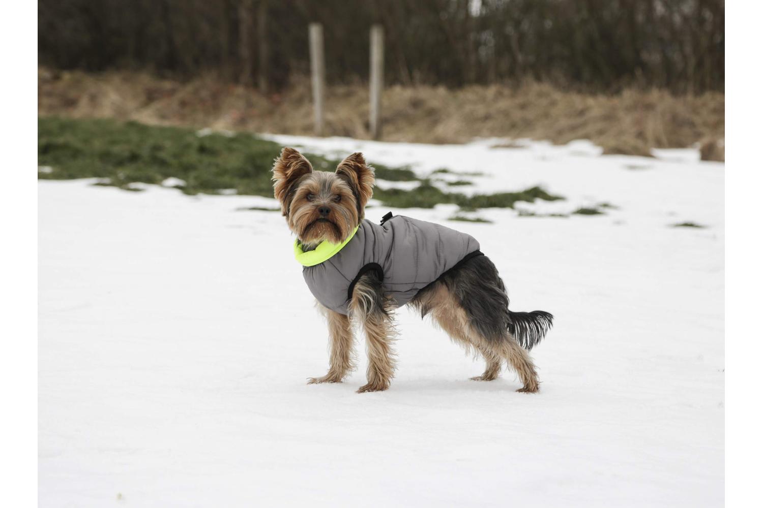 Kerbl Pet Ker-80660 - Quilted Jacket Charmonix, Grey/neon Ye-2