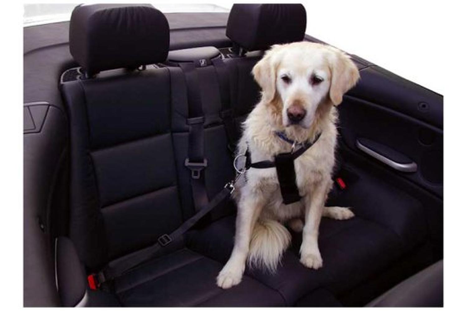 Kerbl Ker-83255 - Car Dog Harness Size L, Black Adjustable-2