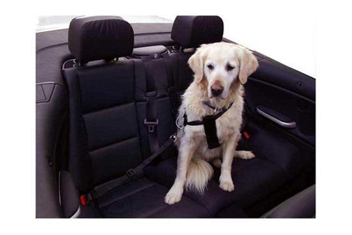 Kerbl Ker-83253 - Car Dog Harness Size S, Black Adjustable