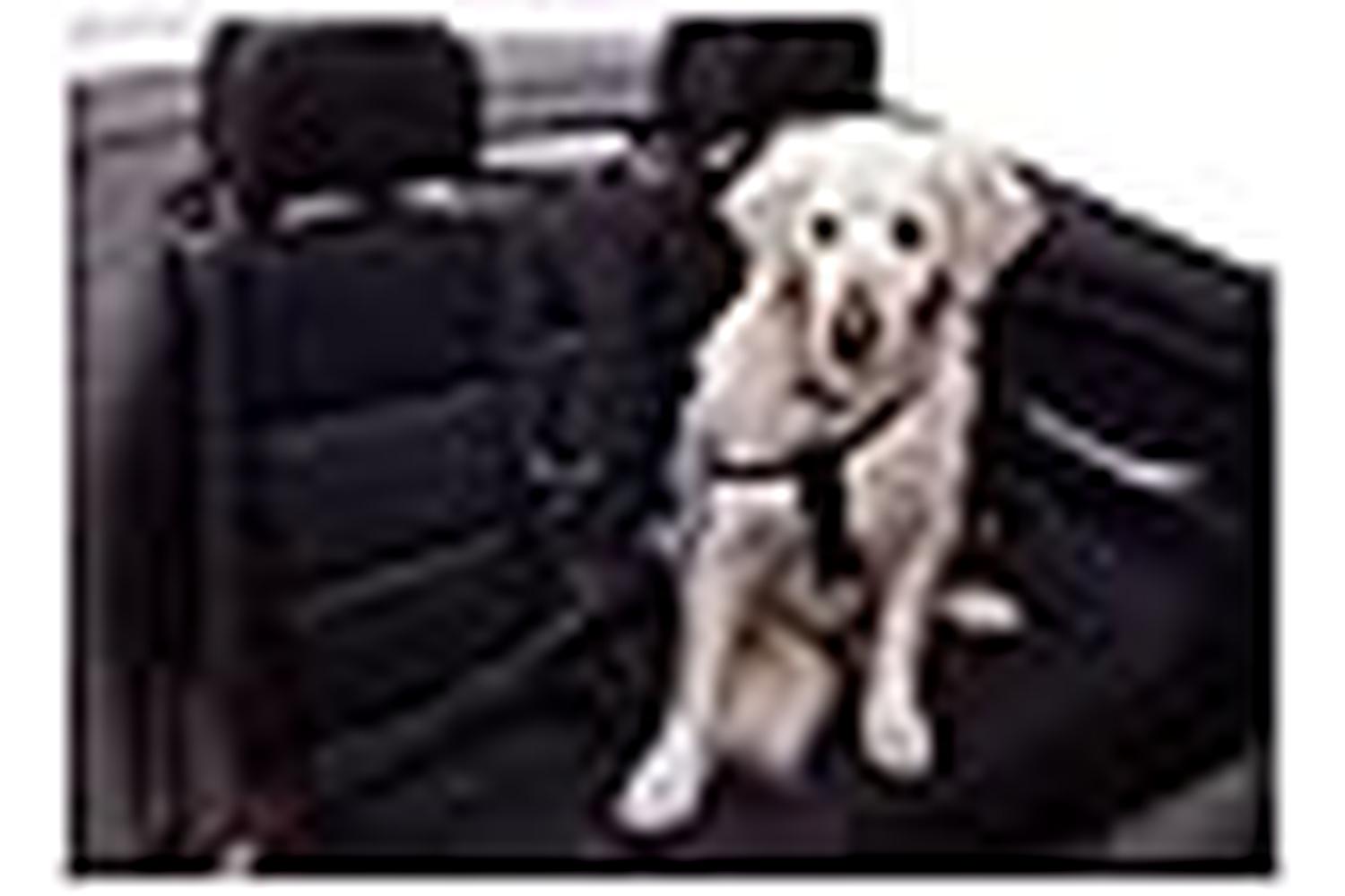 Kerbl Ker-83253 - Car Dog Harness Size S, Black Adjustable-2