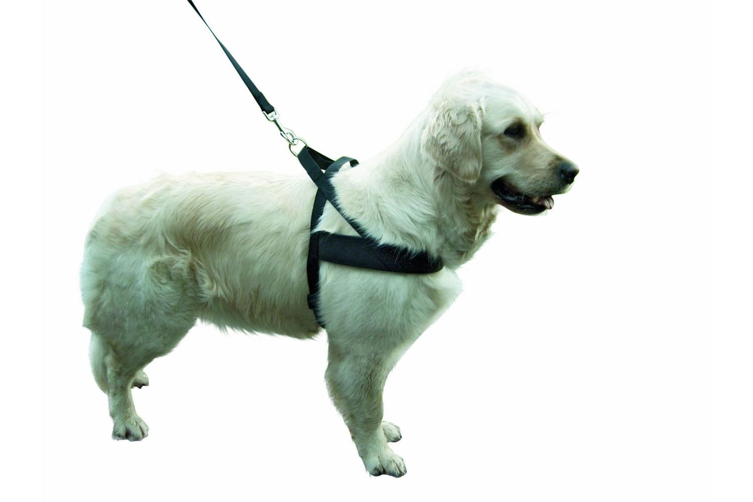Kerbl Pet Ker-83943 - Miami Plus Dog Harness Grith 80-100cm-2