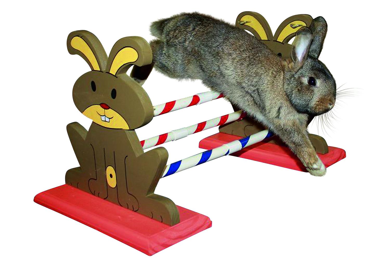 Kerbl Pet Ker-82855 - Agility Rodent Obstacles 62 X 33 X 34-3