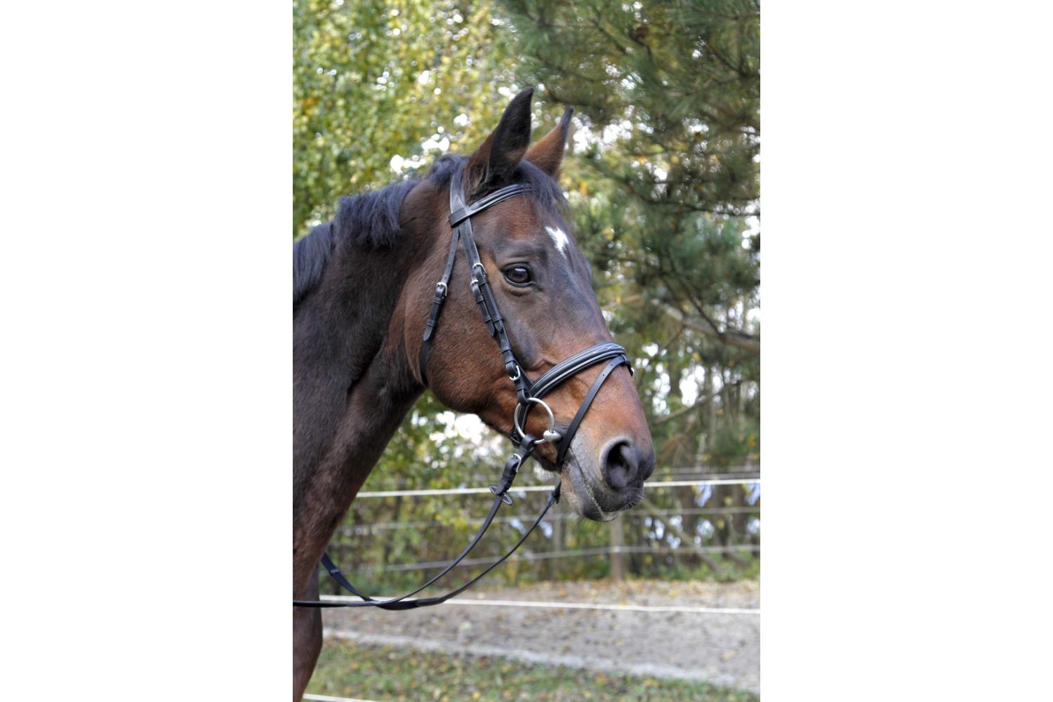 Kerbl Ker-326137 - Snaffle Bridle Classic Leather, Black, Po-3